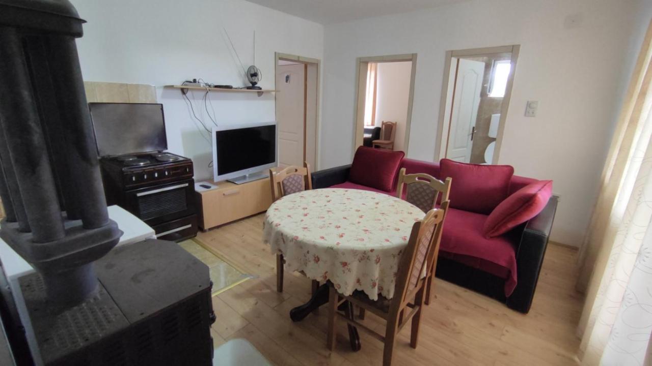Apartment Pavlovic Sokobanja Extérieur photo