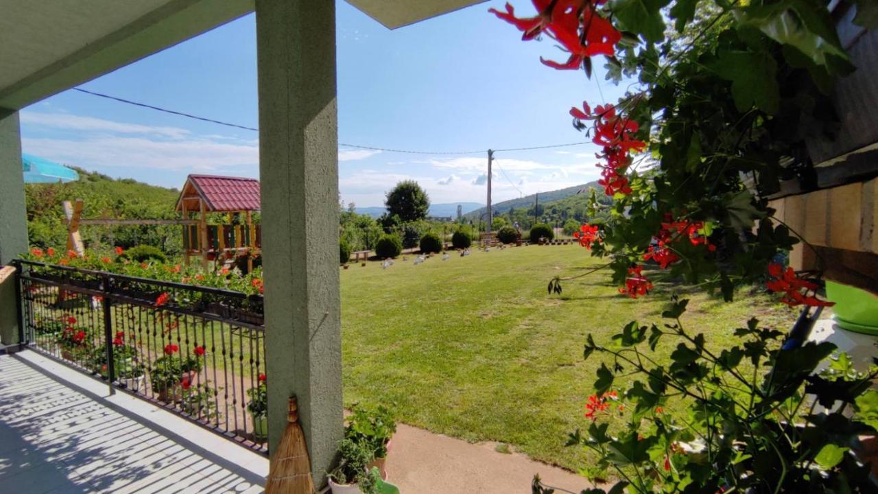Apartment Pavlovic Sokobanja Extérieur photo