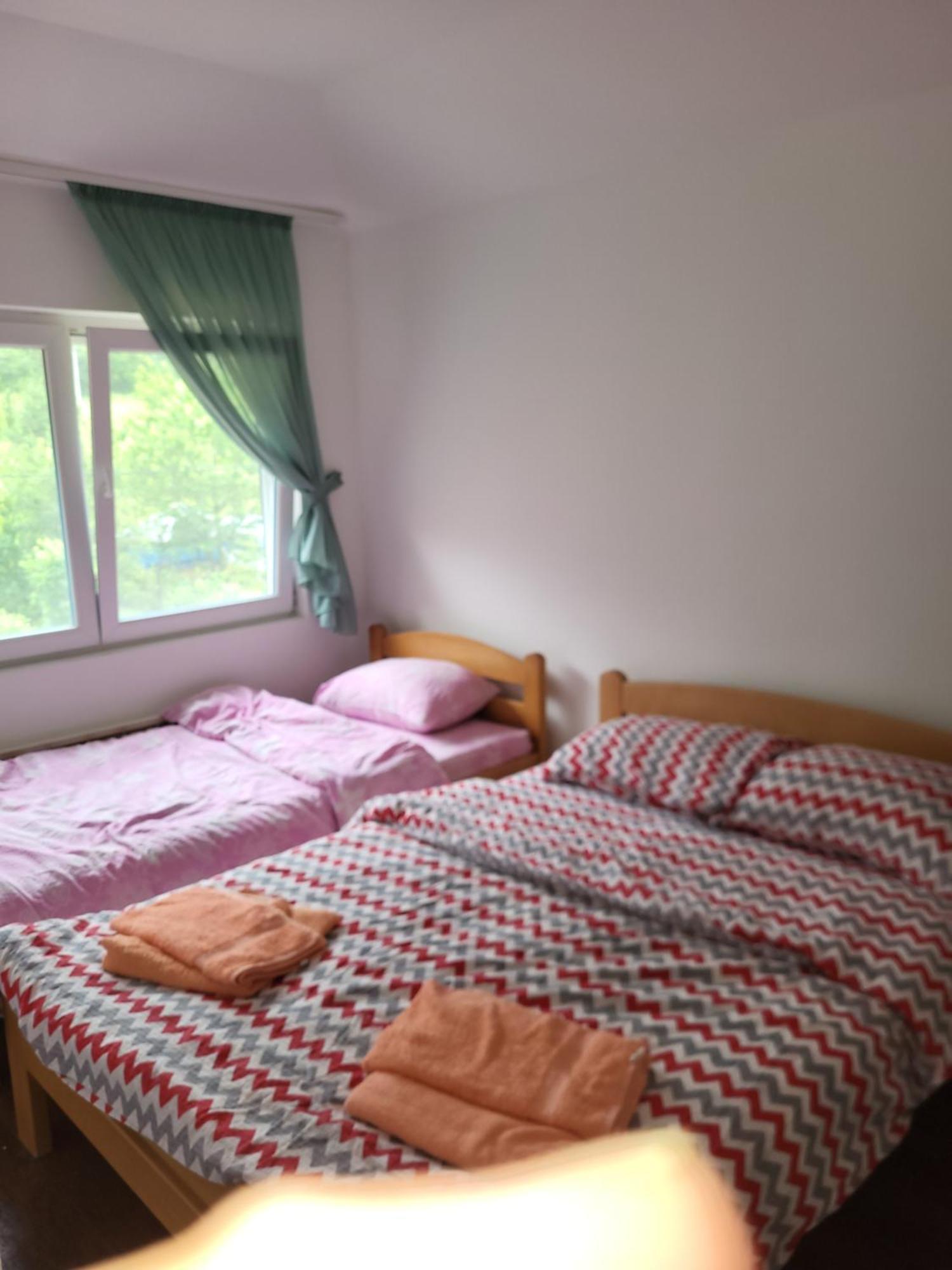 Apartment Pavlovic Sokobanja Extérieur photo