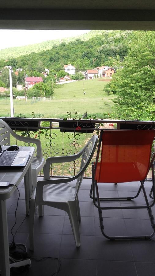 Apartment Pavlovic Sokobanja Extérieur photo