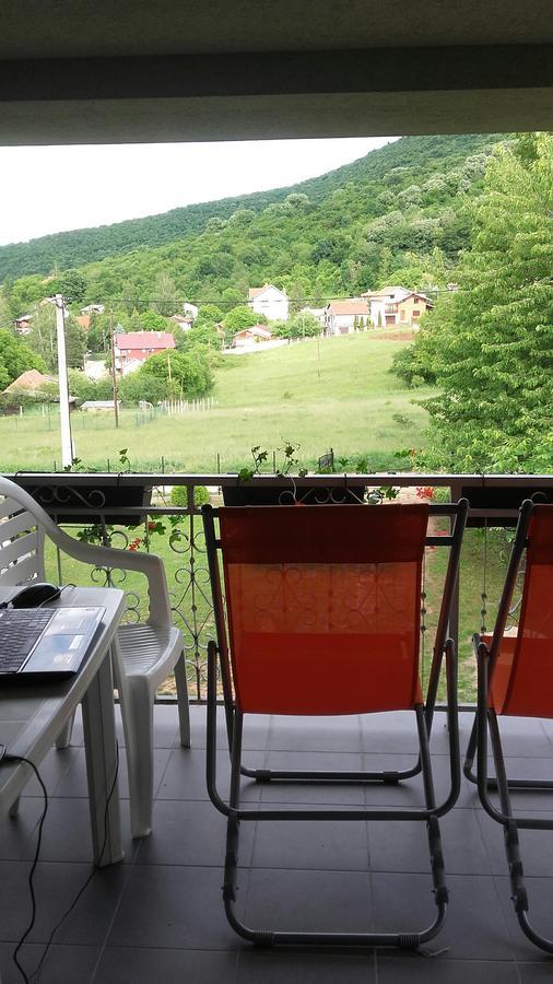 Apartment Pavlovic Sokobanja Extérieur photo